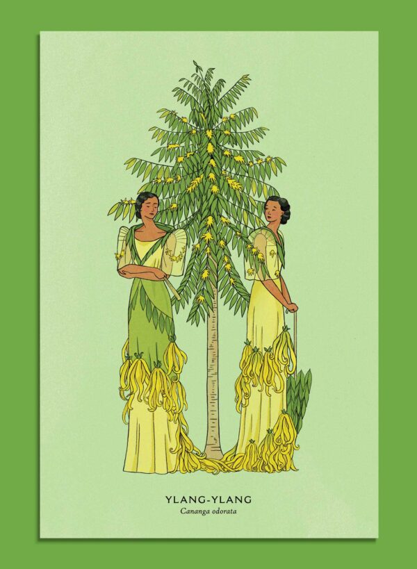 Filipiniana Flora Postcard Set - Image 8