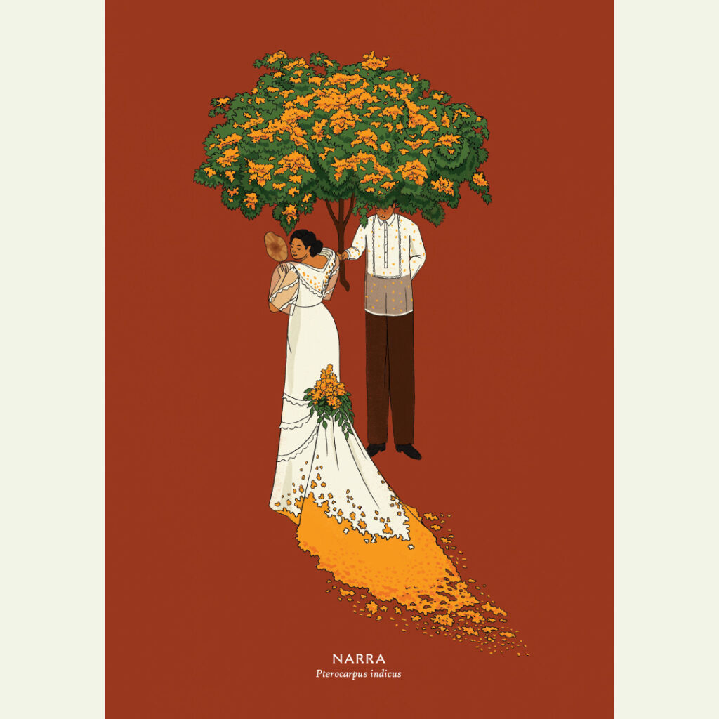 Narra - A3 Print
