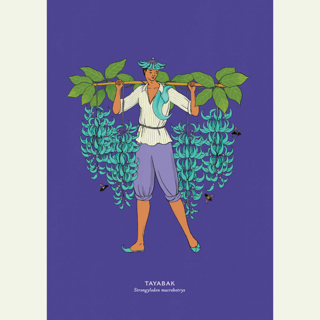 Tayabak - A3 Print