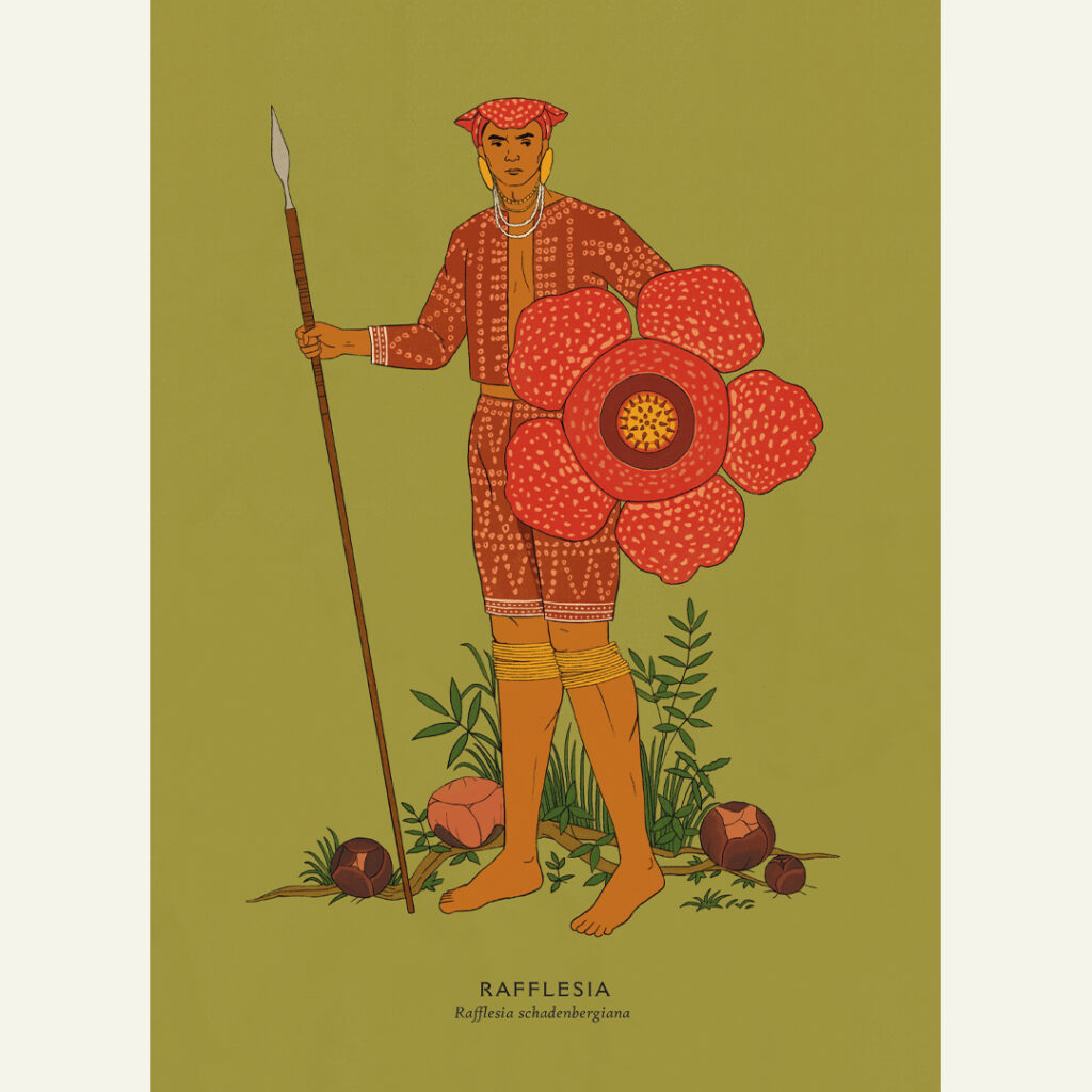 Rafflesia - A3 Print